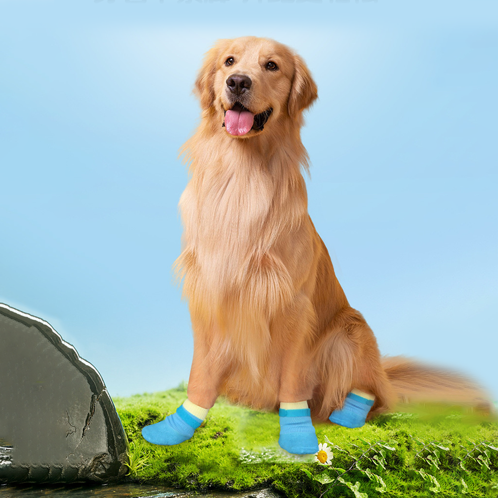 Waterdichte & Anti-Slip Schoenen