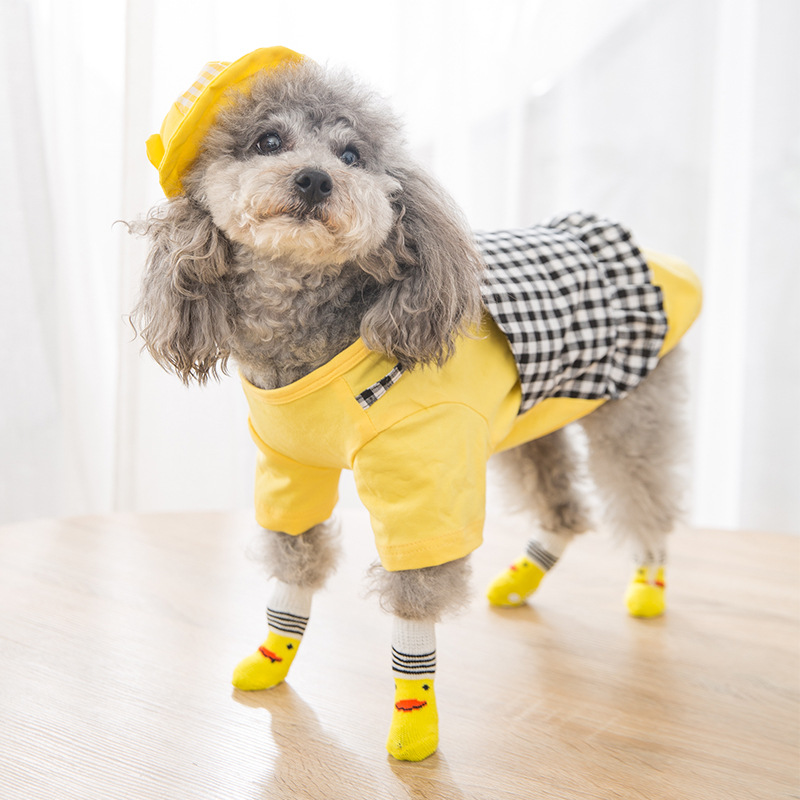 Waterdichte & Anti-Slip Schoenen