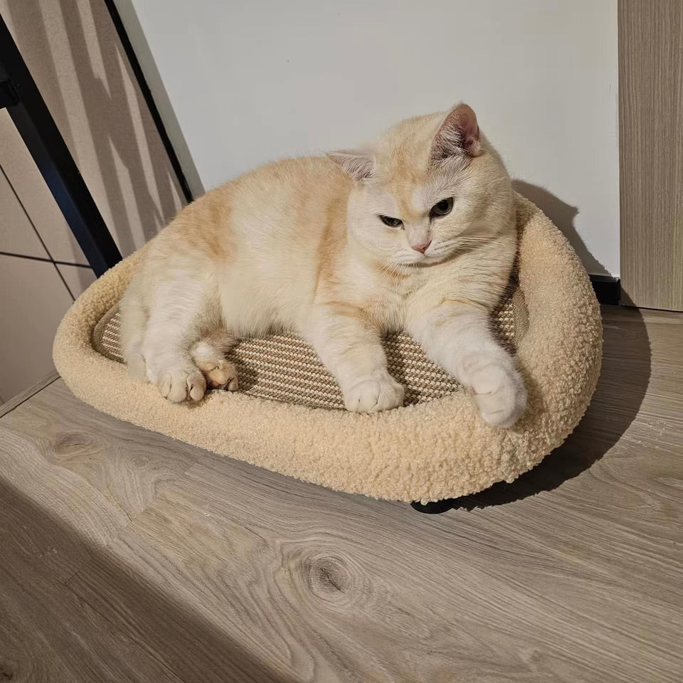 2-in-1 Krabkussen & Kattenbed