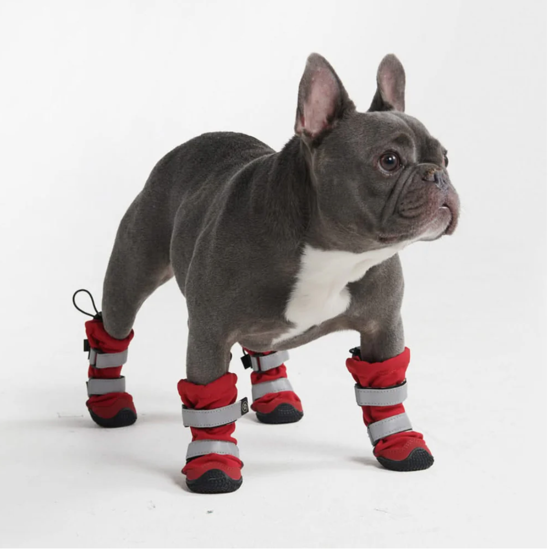 Waterdichte & Anti-Slip Schoenen