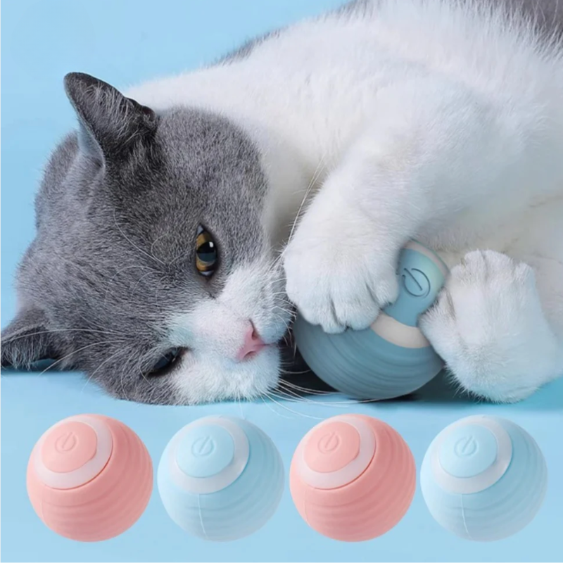 Kattenbal