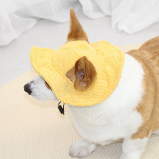 HondenPet
