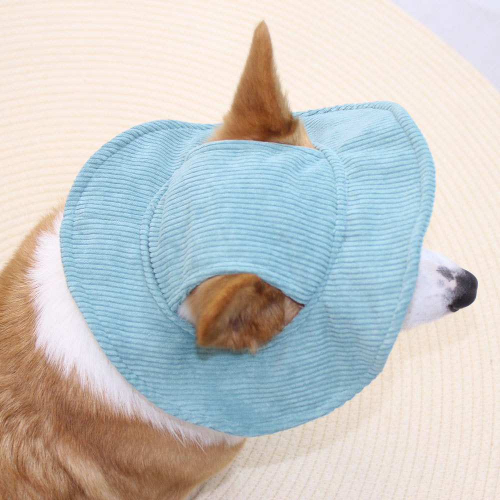 HondenPet
