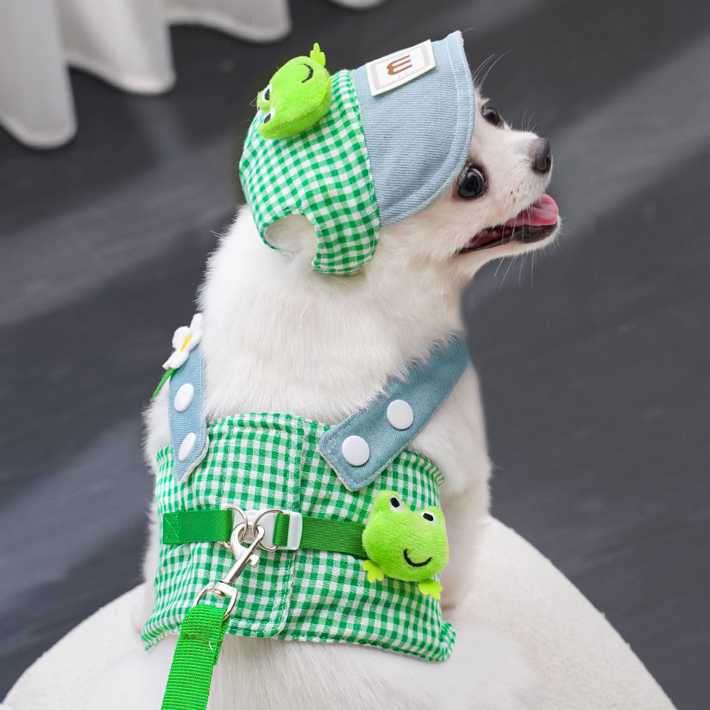 3-in-1 Hond Harnas Set Met Pet