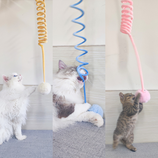 Interactieve kattenspeeltje