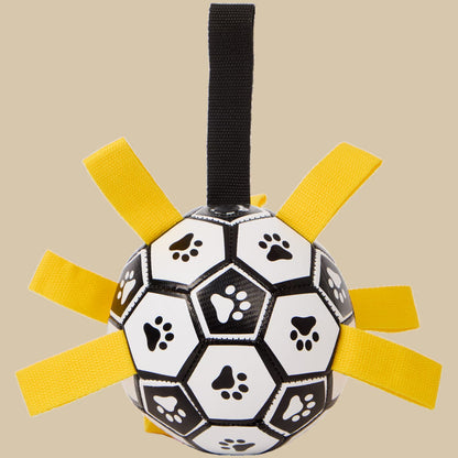BiteBal
