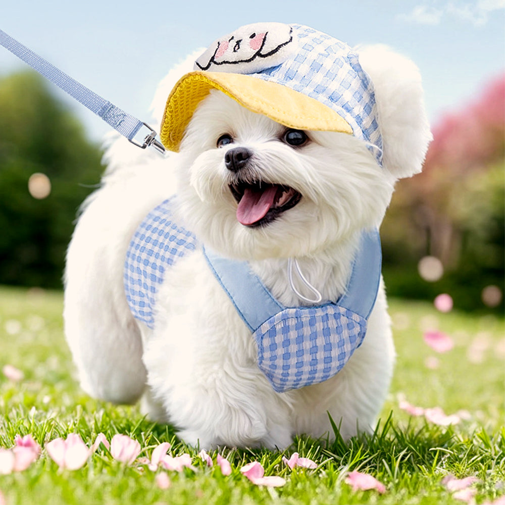 3-in-1 Hond Harnas Set Met Pet