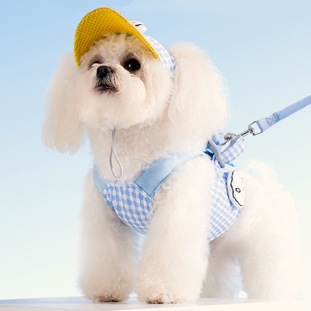3-in-1 Hond Harnas Set Met Pet
