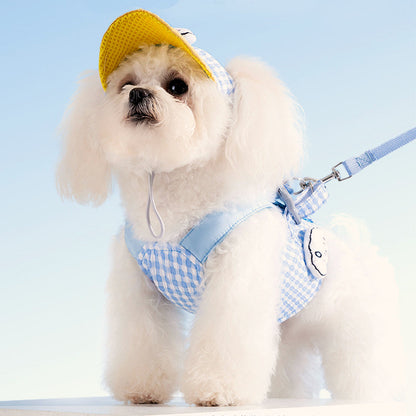 3-in-1 Hond Harnas Set Met Pet