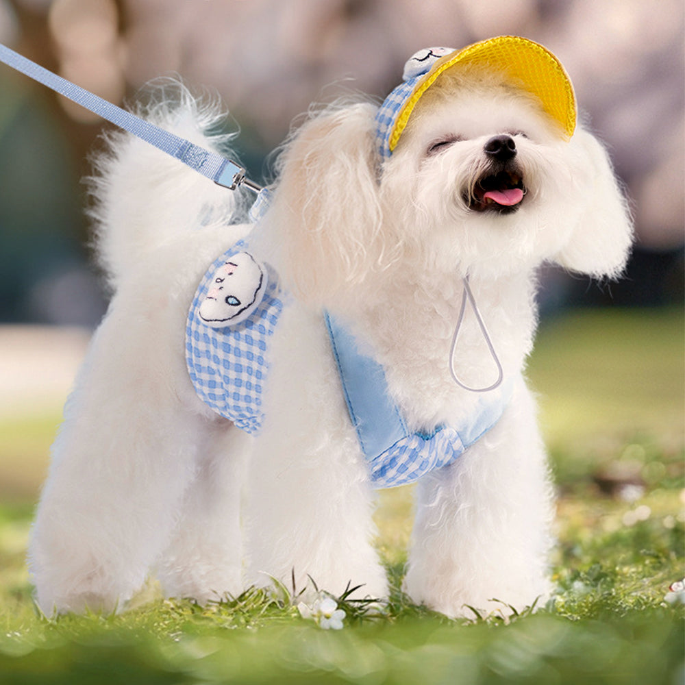 3-in-1 Hond Harnas Set Met Pet