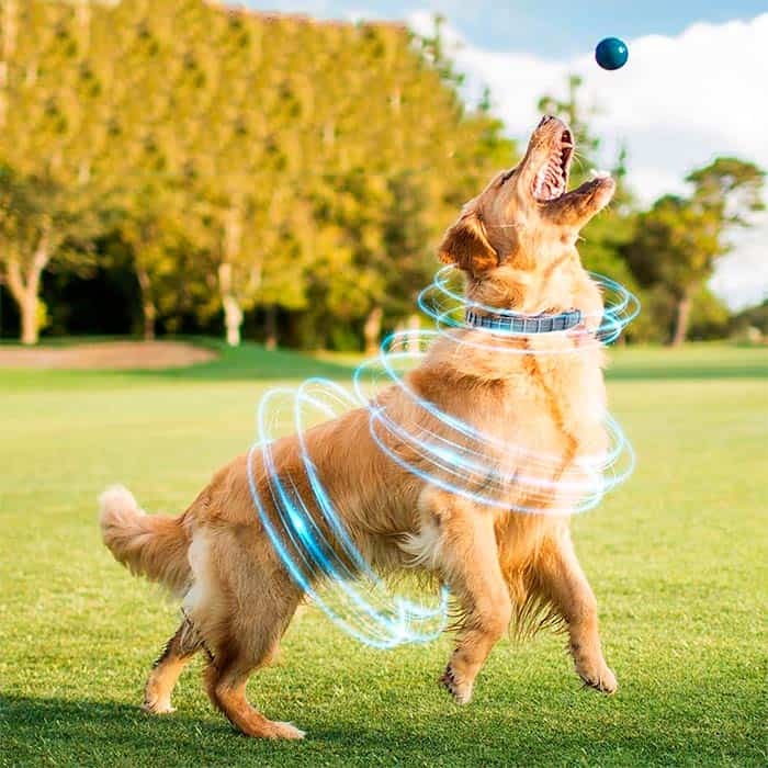 AnimalProtect Halsband