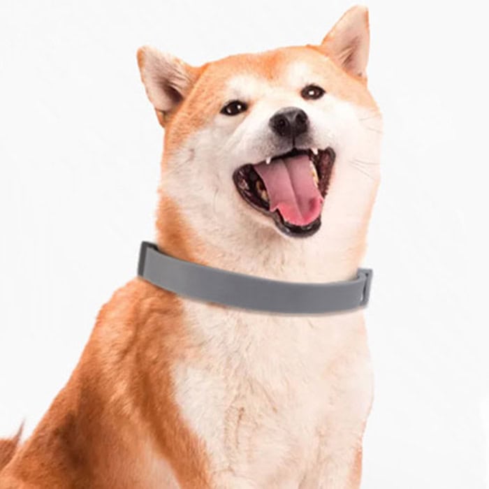 AnimalProtect Halsband