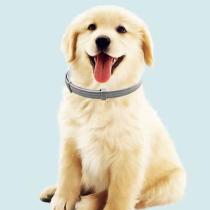 AnimalProtect Halsband