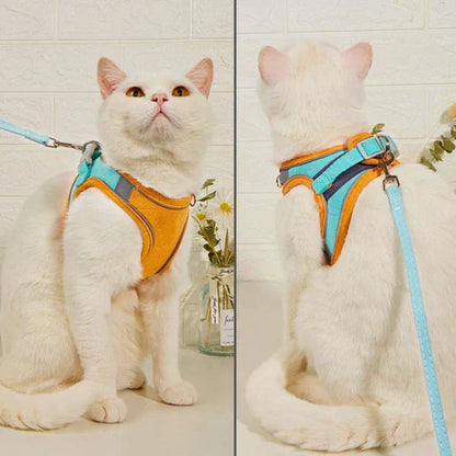 KatWalk
