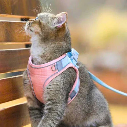 KatWalk