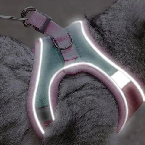 KatWalk