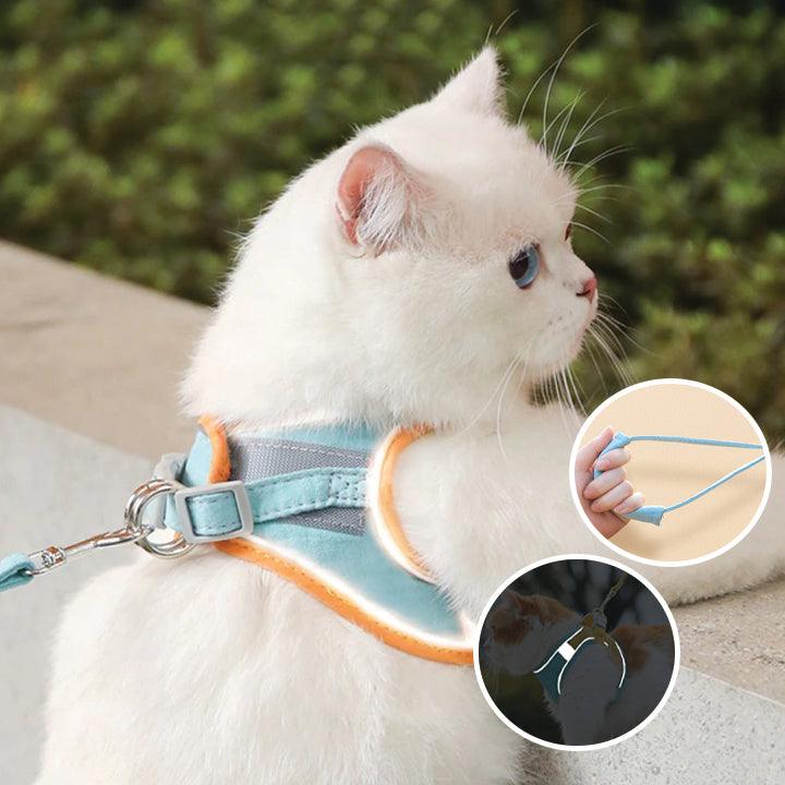 KatWalk