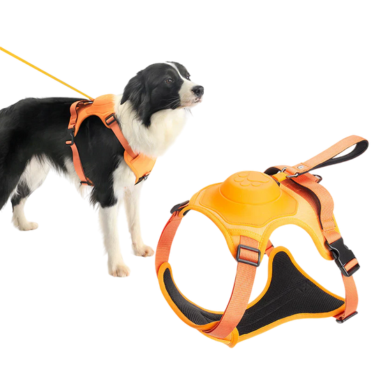 Alles-in-Een Hond Harnas & Touw
