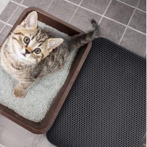 CleanPaws