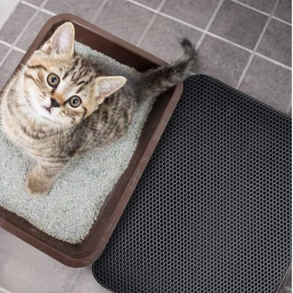 CleanPaws