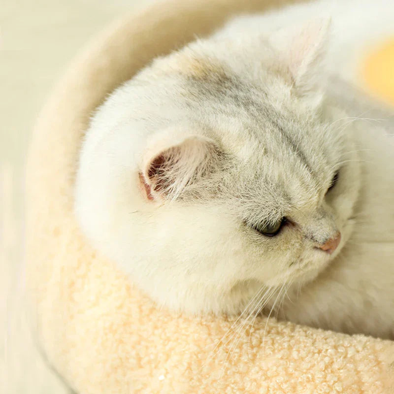 2-in-1 Krabkussen & Kattenbed