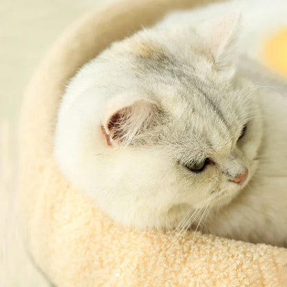 2-in-1 Krabkussen & Kattenbed