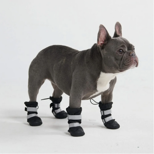 Waterdichte & Anti-Slip Schoenen