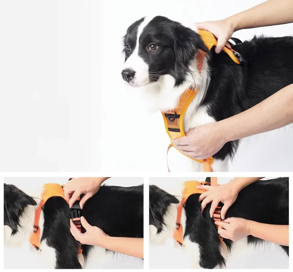 Alles-in-Een Hond Harnas & Touw