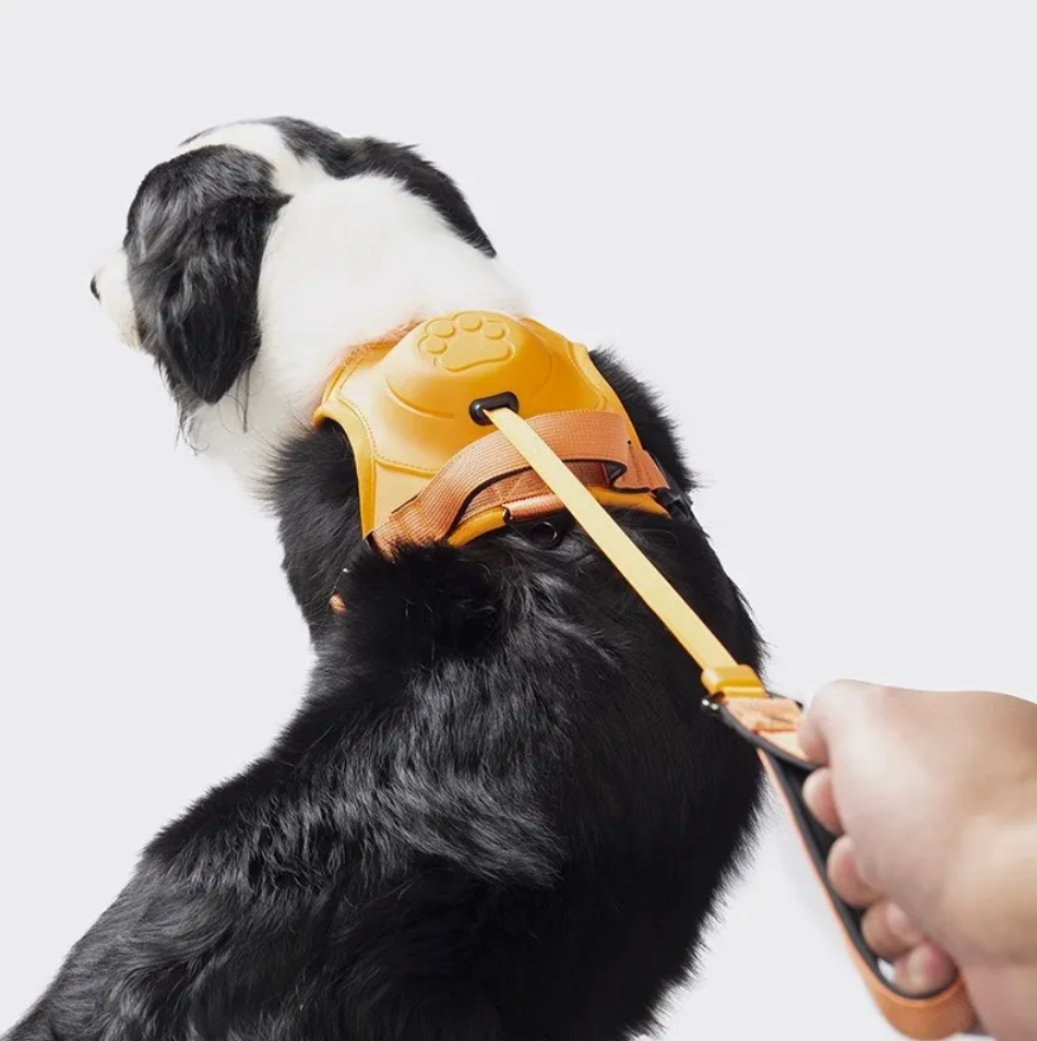 Alles-in-Een Hond Harnas & Touw