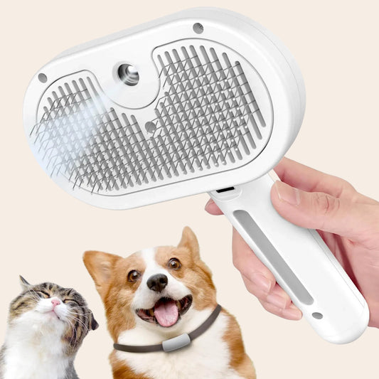 SteamyBrush